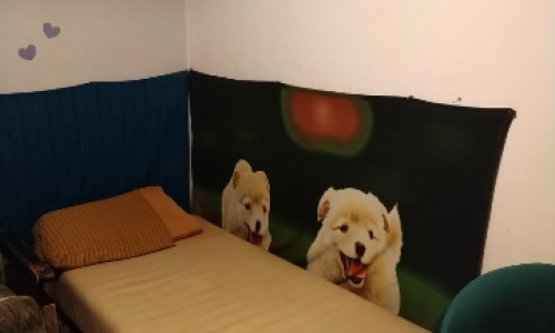 GRUNWALD kawalerka dla 1 lub 2 studentek