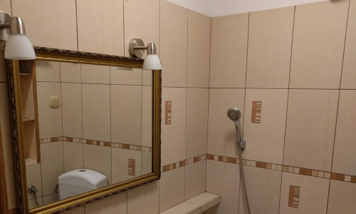 Pokój jednoosobowy Kościuszki/Brzeska