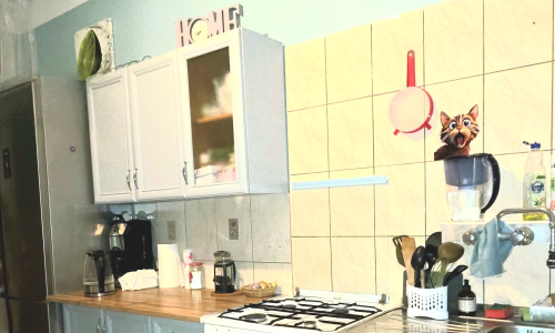 Do wynajęcia przytulny pokój w mieszkaniu 3-pok, obok katedry wrocław